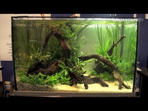 Aquarium decor ideas Aquarium decor ideas