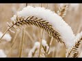 Utah Phillips/Jody Stecher & Kate Brislin - Walking Through Your Town in the Snow