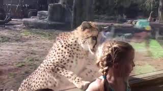 Funny Cute Animals and kids at the Zoo