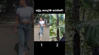 කවද හඳම කන - Part - 033