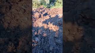 Tezek Yiğini Gübre Boku Gübresi