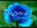 stay - carol banawa