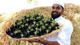 Brinjal Biryani for Orphans |Delicious Brinjal Biryani|Nawabs kitchen Brinjal Biryani for Orphans |Delicious Brinjal Biryani|Nawabs kitchen