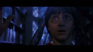 Harry Potter And The Sorcerers Stone 2001 - Restricted Section Scene