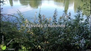 Activités d'Automne