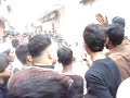 image Dangerous Cow In Rawalpindi