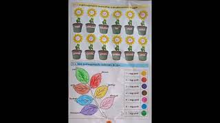10.கலம அறவன ணமஎழததமபரவம1 க