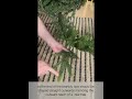 New Haven Artificial Christmas Tree