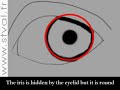 Tutorial 2 : How to draw  REALISTIC  EYES