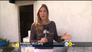 Melissa Mccarty 20121114 Hd