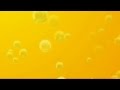 Sokak Ortasına İşeyen Kadın ama Mecburiyetten - Komik Videolar - Zapkolik