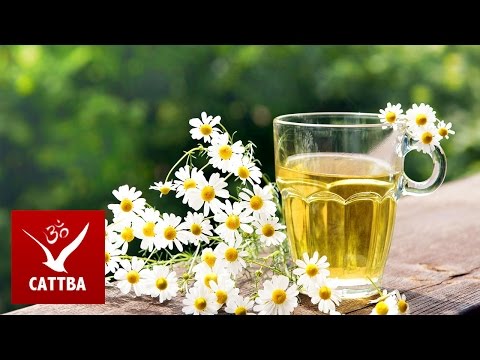 полная очистка организма от всех паразитов полная очистка организма от всех паразитов