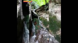 Gözel Menzereli Video.axar Su Menzeresi.status Üçün Menzere Video.vatsap Menzereli Video.qisa Video