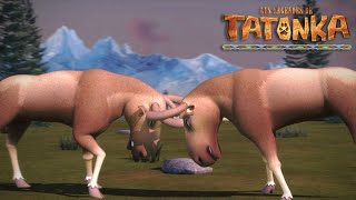 Les Légendes De Tatonka Grand Poum Nouvelle Compilation