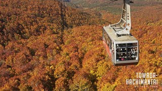 Towada-Hachimantai National Park, Japan 4K (Ultra HD) - ??????????