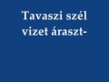 Tavaszi szél vizet áraszt, Csángó népdalok Előadja: Török Erzsi , Tekeres Sándor