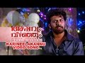 Appavum Veenjum | Karineelakannu |  New Malayalam Movie Video Song