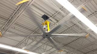 Two Big Fans Baf Basic 6S