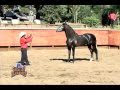 Rancho El Encanto 4