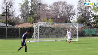 HIGHLIGHTS: Birmingham 5 Mater Dei 2