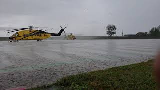 Yellow Hawk playing in the water.