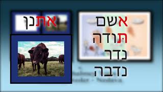 Chumash Storyline 9: Vayikra 1 - 18