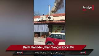 Balık Halinde Çıkan Yangın Korkuttu