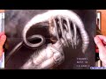Alien (franchise)