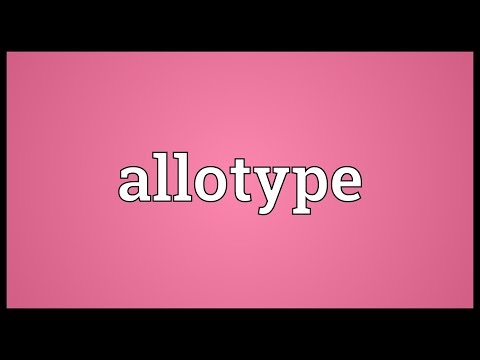 Header of allotype