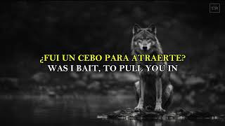 David Guetta - She Wolf Falling To Pieces Ft. Sia