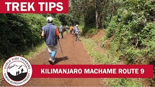 Climbing Kilimanjaro Machame Route Day 9 Trek Tips