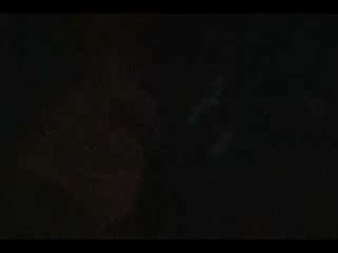 353 Video
