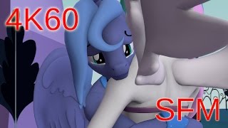 Reunion Of Celestia And Luna 4K Uhd 60 Fps Sfm Anthro Ponies