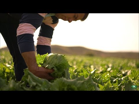 Anecoop y sus socios: homenaje a los agricultores