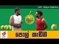 Pol Kadima - Wasthi Productions
