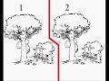 Search Jak Treeses Different Nerun Kalpajith Challenge Warning Search Jak Treeses Different Nerun Kalpajith Challenge Warning