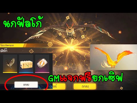 Free Fire ฟีฟาย สัตว์เลี้ยงใหม่นกฟัลโก้GMแจกฟรียกเซิฟ freefire ฟีฟาย