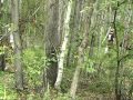 Благовещенский археологический отряд ИАЭТ СО