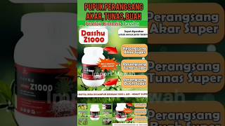 Pupuk Perangsang Akar, Tunas, Buah Pupuk Organik Dhu Z1000 Untuk Semua Tanaman