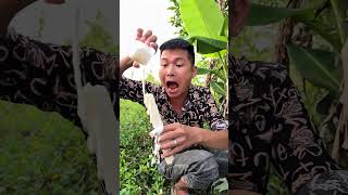 Yogurt Dip Challenge Eating Everything With Yogurt Funny Short