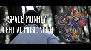 Them Flying Monkeys - Space Monkey