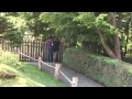 the darbie show trailer