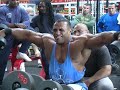 IFBB