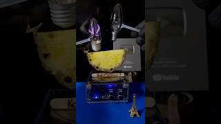Pineapple Vs Incandescent Bulbs Music Tesla Coil Experiment