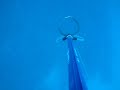 PESCA SUB - OMAR QUEIROZ - GALOS,BARRACUDAS, BEIJUS