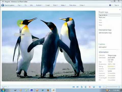 Install and use Windows Live Photo Gallery for Windows Free Install and use Windows Live Photo Gallery for Windows Free