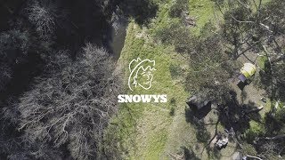 Welcome To Snowys