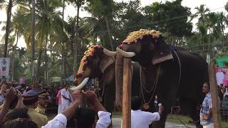 Baahubali Elephant Chirakkal Kalidasan Vs Mangalamkunnu Ayyappan Chakkumarery Thalapokkam Fight