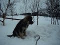 Крым,охота на Сёмгу