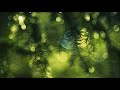 Тихое время с Живой Жизнью: 1 Коринфянам 16:13–24 (12022018) Тихое время с Живой Жизнью: 1 Коринфянам 16:13–24 (12022018)